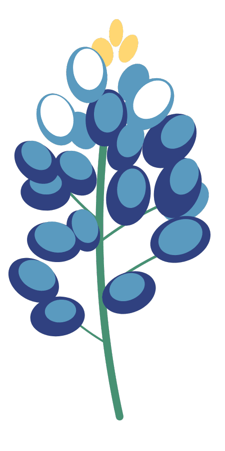 blueb - large blueb - large